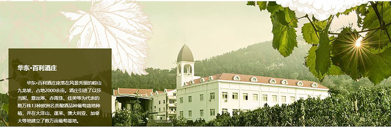 01.jpg 01.jpg